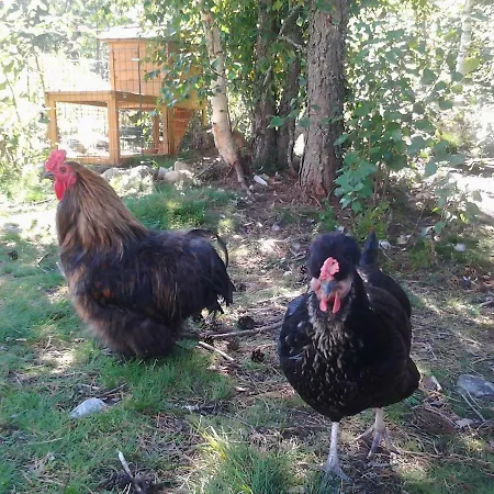Tatil Evi Haugfoss